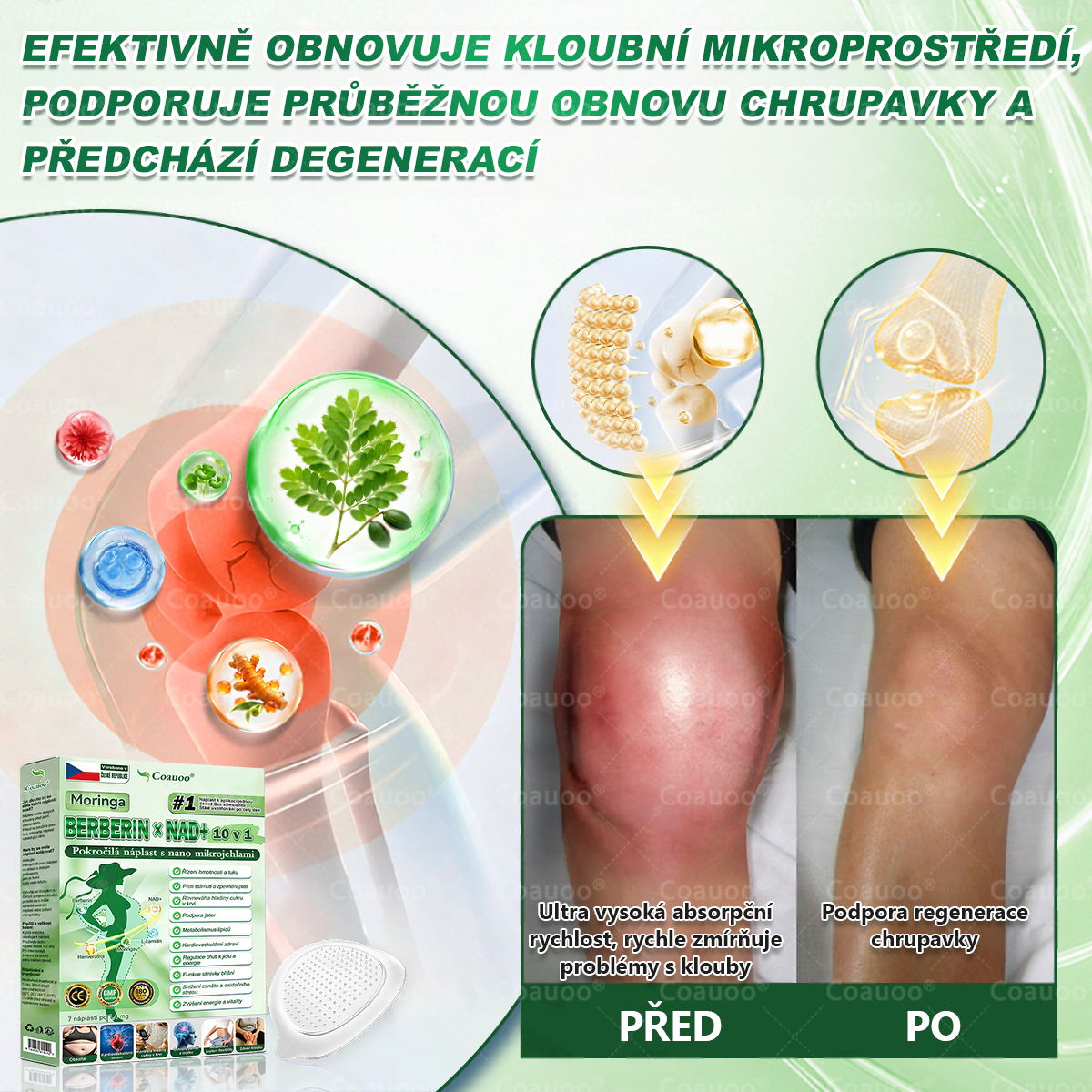 Oficiální prodejna BENU |  🧑‍⚕️𝐂𝐨𝐚𝐮𝐨𝐨® 𝐌𝐨𝐫𝐢𝐧𝐠𝐚 × 𝐁𝐞𝐫𝐛𝐞𝐫𝐲𝐧𝐚 × 𝐀𝐌𝐏𝐊 𝟏𝟎 v 1 – Zeštíhlující nano mikrojihlový náplast 🇨🇿 Jen 1× denně ✅ Viditelné změny za 7 dní – na obezitu, kardiovaskulární zdraví, diabetes a kloubní problémy